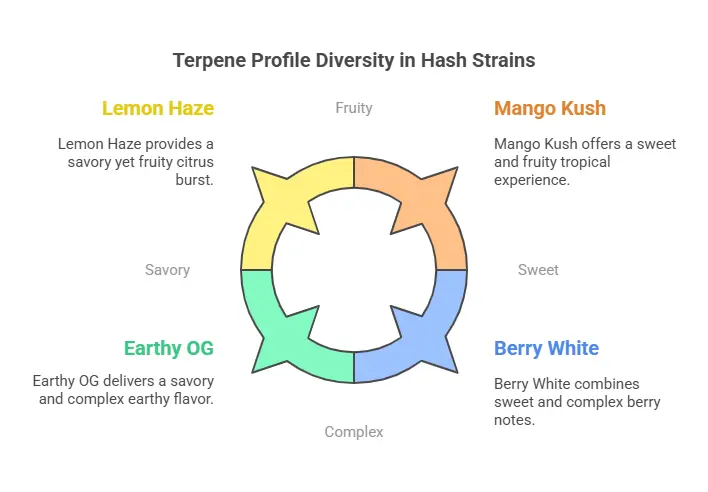 Best Strains for Full Melt Flavor & Effects 2 Flavor wheel showing range of terpene profiles in different hash strains