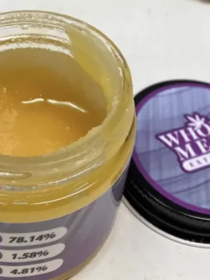 Whole Melt Extracts Badder how to dab full melt,best temp for full melt,cold start full melt,how to use full melt hash,dabbing melt hash tips